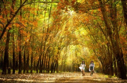 Tuyển Chọn Những bản nhạc hay nhất mọi thời đại, Liên tục cập nhật
