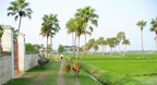 Nhạc Không Lời quê hương - (Hòa tấu Bầu - Tranh -

Sáo)